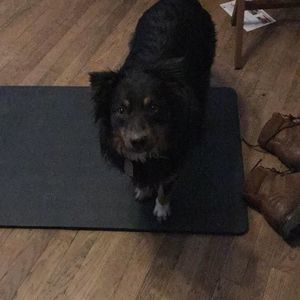 Meet your Posher, Morgan